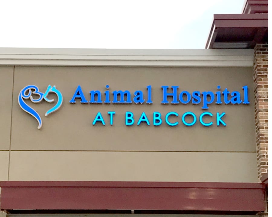 Learn More About Animal Hospital at Babcock and it's Vets